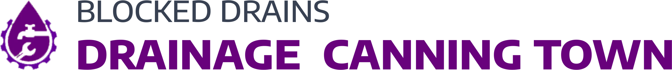 website logo
